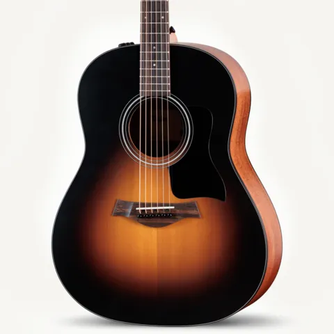 2024年の新アコースティックギター | Taylor Guitars